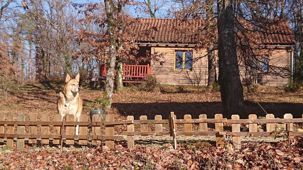 Le Village Enchanteur La Chapelle-Aubareil Zewnętrze zdjęcie