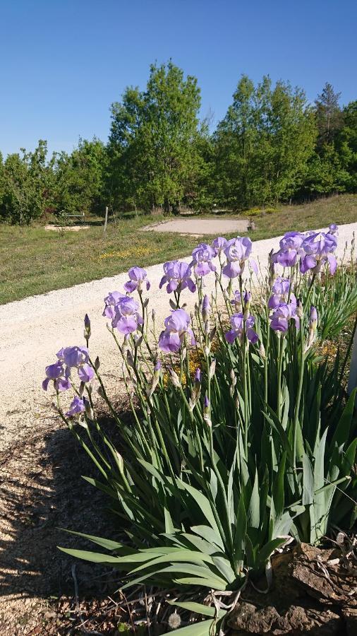 Le Village Enchanteur La Chapelle-Aubareil Zewnętrze zdjęcie