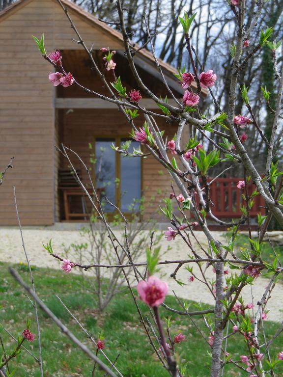Le Village Enchanteur La Chapelle-Aubareil Zewnętrze zdjęcie